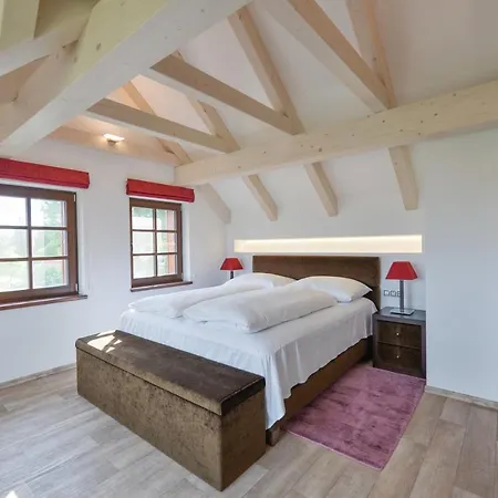 Na Seniku Apartment Trebon