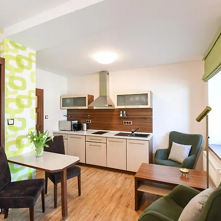 Na Seniku Apartment Trebon