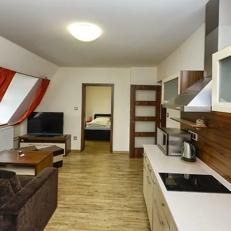 Apartment Na Seniku Trebon